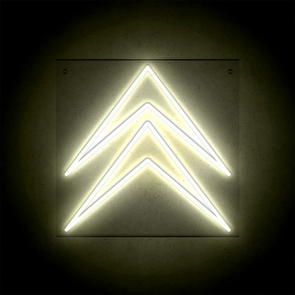 Néon LED mural - CITROËN